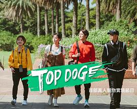 无忧传媒《TOP DOG》免费在线观看