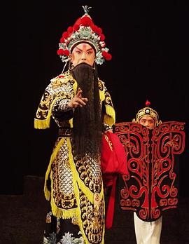 无忧视频《袁崇焕2009》免费在线观看